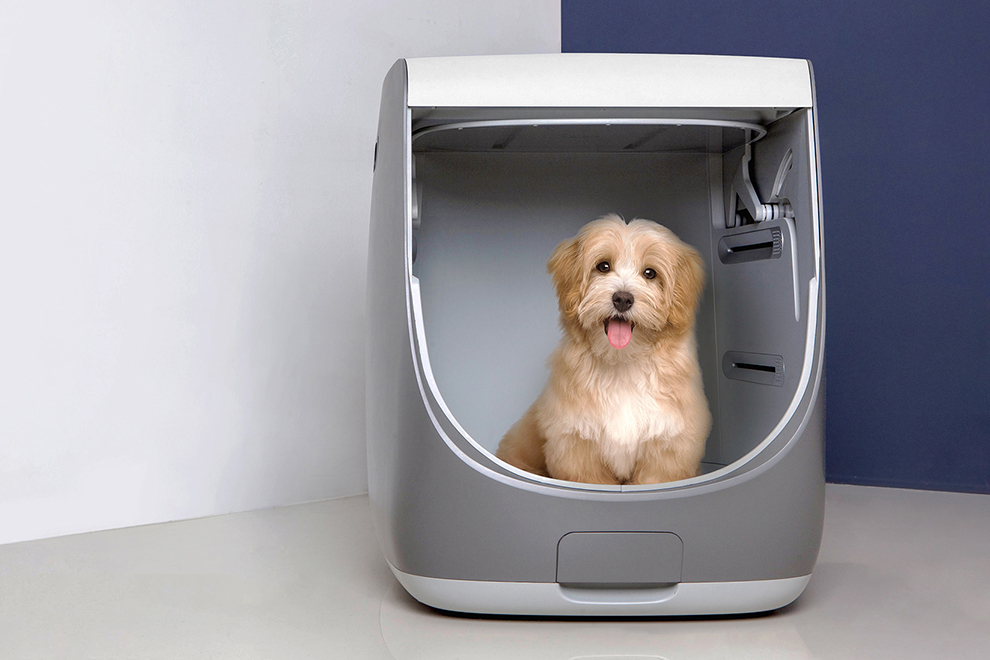 Nullam libero dolor  malesuada nec  lacinia